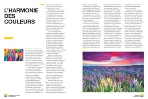 L-harmonie-des-couleurs