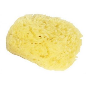 sachet-de-1-eponge-naturelle-blanchie-corect-art