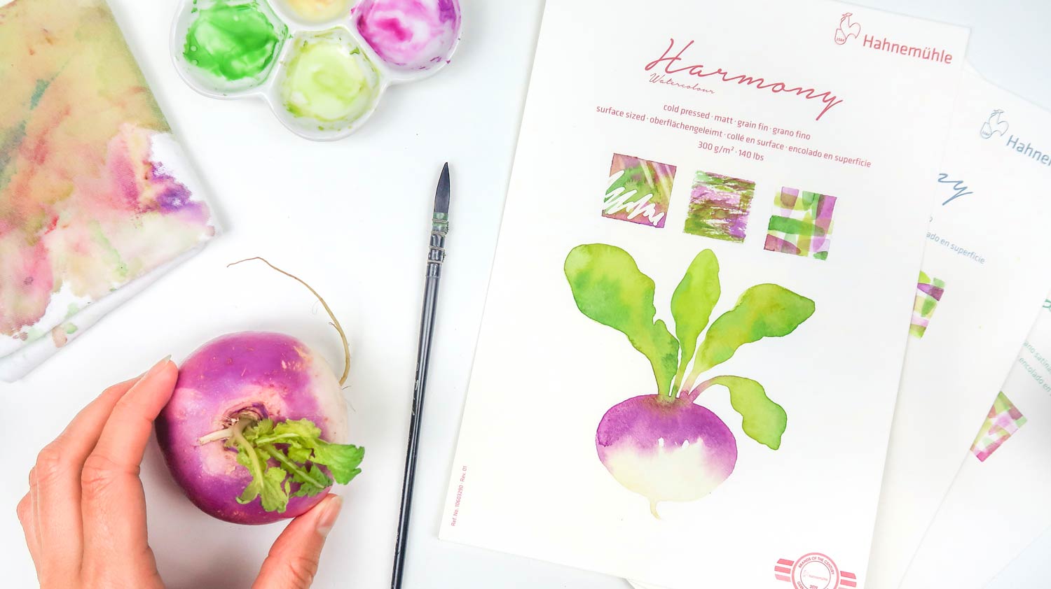 Mon avis sur le papier aquarelle Harmony de Hahnemühle